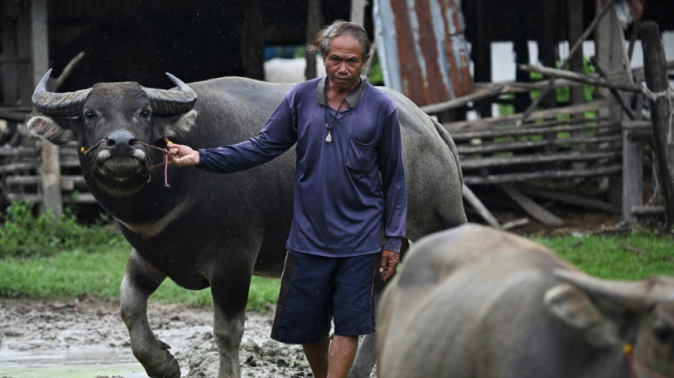 Cambodge-Thaïlande: malgré les combats, certains refusent de quitter leurs maisons à la frontière