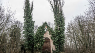 As lendas escondidas sob heras no 'cemitério dos loucos' de Praga