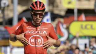 Vauquelin gewinnt zweite Tour-Etappe - Pogacar &uuml;bernimmt Gelb