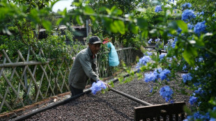 La capital china del t&eacute; incursiona en el caf&eacute; ante cambios en los gustos