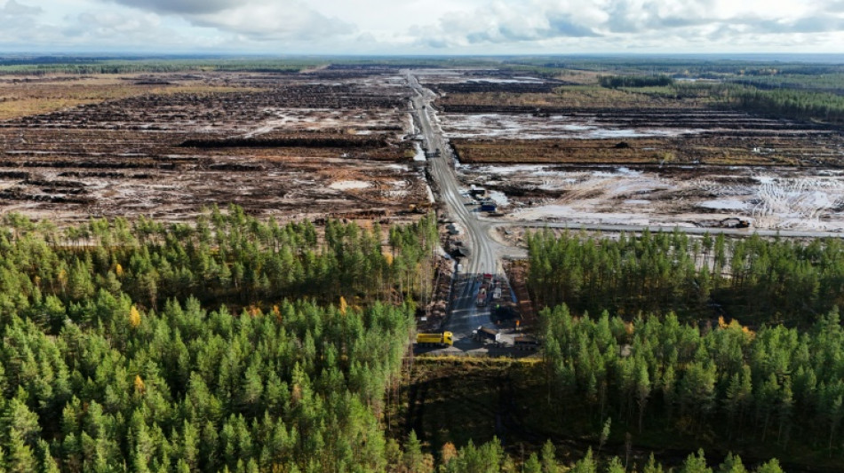  La Finlandia rural se prepara para la llegada de centros de datos de Google 