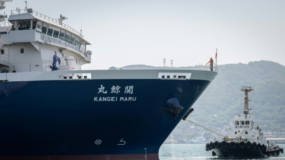  Drones, wifi et longs couteaux: à bord du nouveau bateau-usine baleinier du Japon 