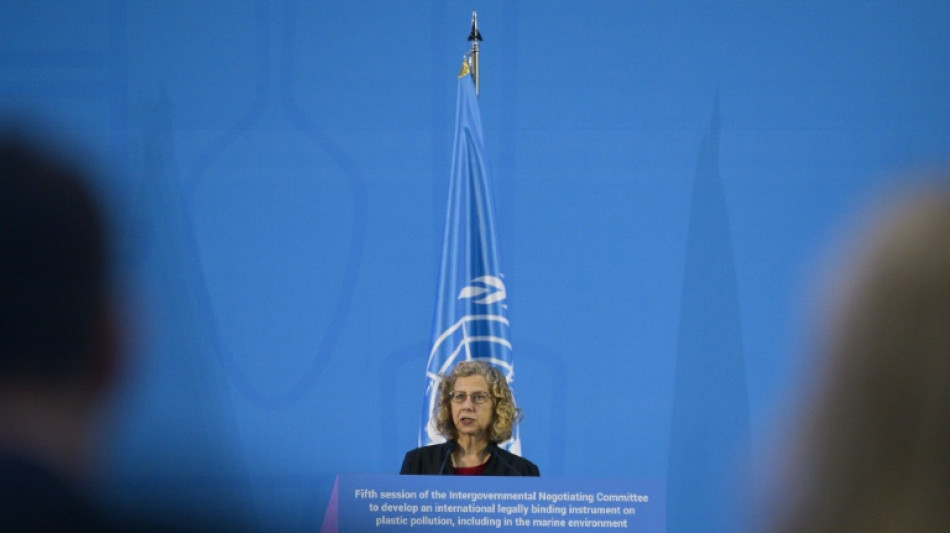 La ONU apuesta por un panel cient&iacute;fico para minimizar los efectos de los qu&iacute;micos en la contaminaci&oacute;n