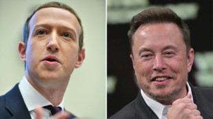 Musk und Zuckerberg fordern einander zu direktem Kampf heraus