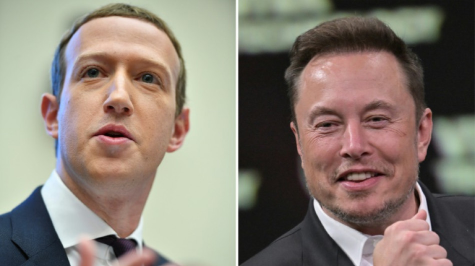 Zuckerberg und Musk werfen sich gegenseitig Scheu vor möglichem Kampf vor