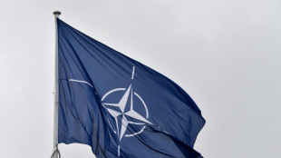 75. Jahrestag: Faeser ordnet Nato-Beflaggung an obersten Bundesbehörden an