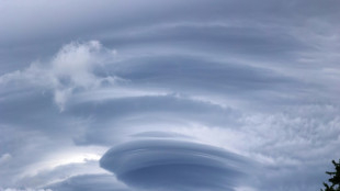 Most deadly 2024 hurricane names retired from use: UN agency