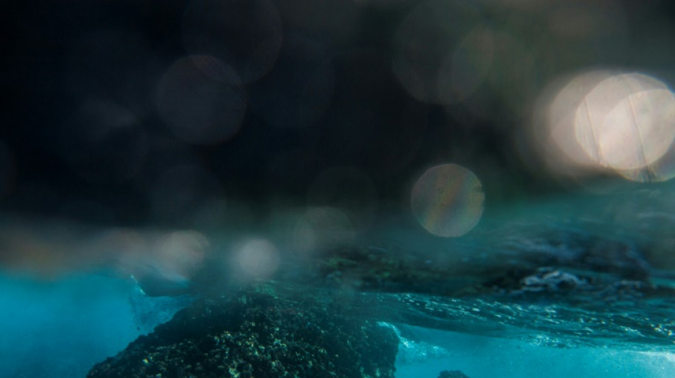 Einschr&auml;nkung von Tiefseefischerei im Nordostatlantik: Spanische Klage erfolglos