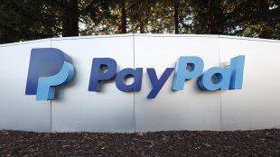 PayPal nomina un nuovo Ceo, risultati trimestre deludono