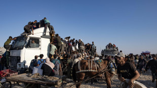 Camion con aiuti preso d'assalto si ribalta, 20 morti a Gaza