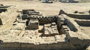 Ägyptische Archäologen melden Fund von 
