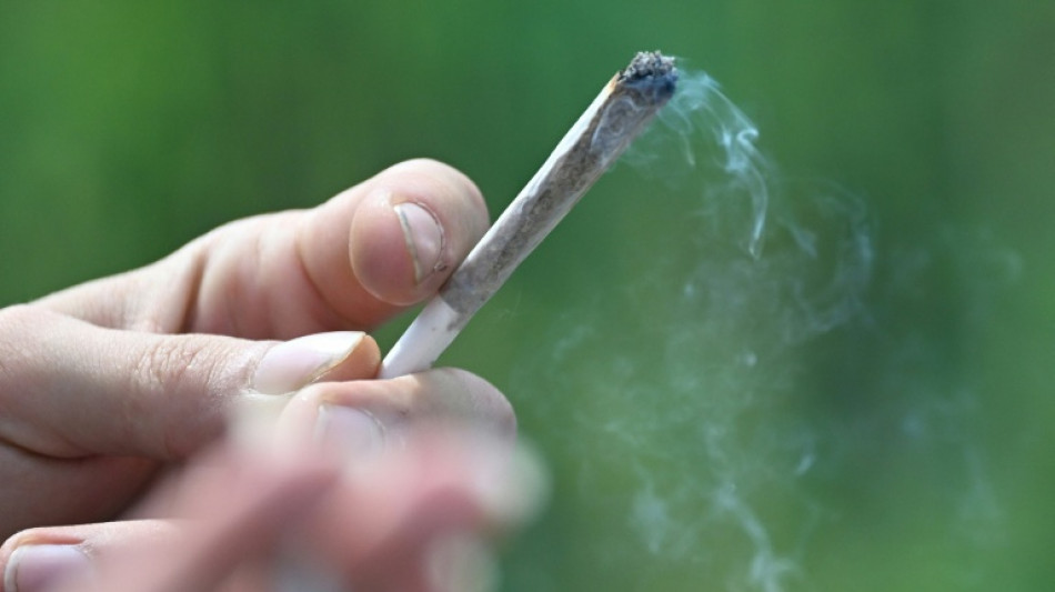  Verwaltungsgericht: Starker Cannabiskonsum begr&uuml;ndet Zweifel an Fahreignung 
