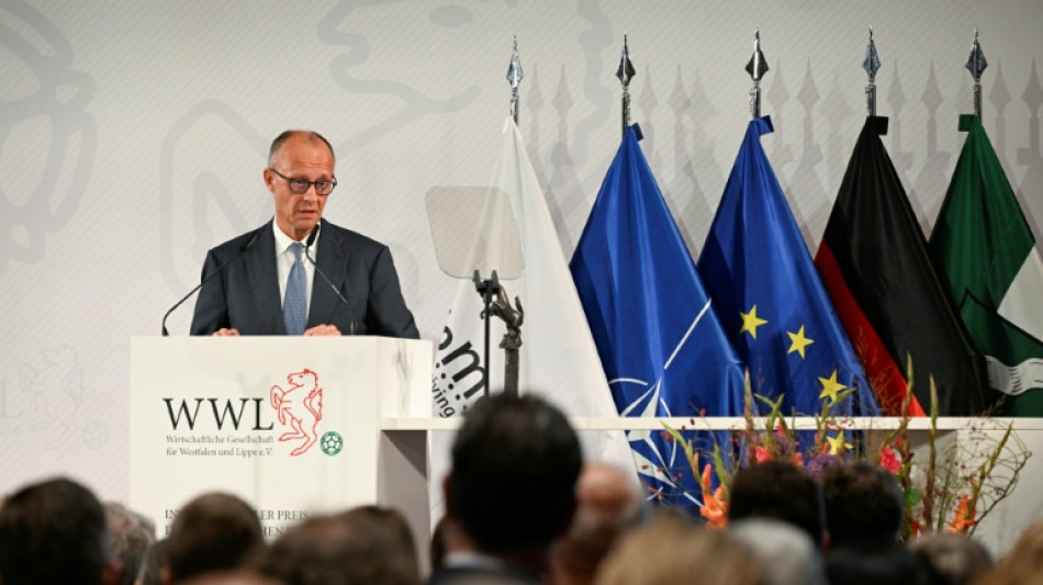  Friedenspreis f&uuml;r Nato: Merz warnt vor Spaltung durch Russland und "Parolen der AfD" 