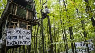 Ermittlungen gegen 15 Umweltaktivisten nach Räumung von Fechenheimer Wald