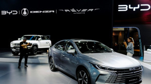 Fabricante chinesa de carros el&eacute;tricos BYD bate recorde de receita em 2024 e supera Tesla