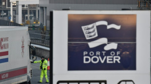 Fears of further delay to UK's post-Brexit border checks