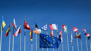 Europaparlament feiert 20. Jahrestag der EU-Osterweiterung