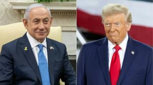 Trump re&ccedil;oit Netanyahu, dit que les Palestiniens "adoreraient" quitter Gaza
