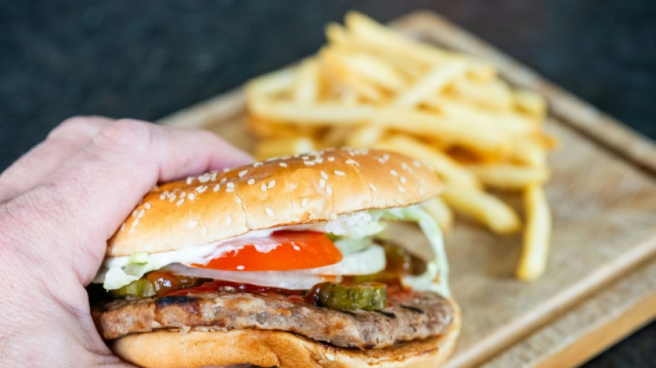  Veggie-Burger: EU-Parlament best&auml;tigt Entscheidung gegen Namensverbot 