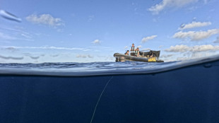 Greenpeace appelle à la création d'une première réserve marine mondiale en haute mer