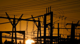 Netzagentur: Stromnetz muss stärker ausgebaut werden als geplant