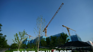 Moody's downgrades China property giant ahead of crucial vote