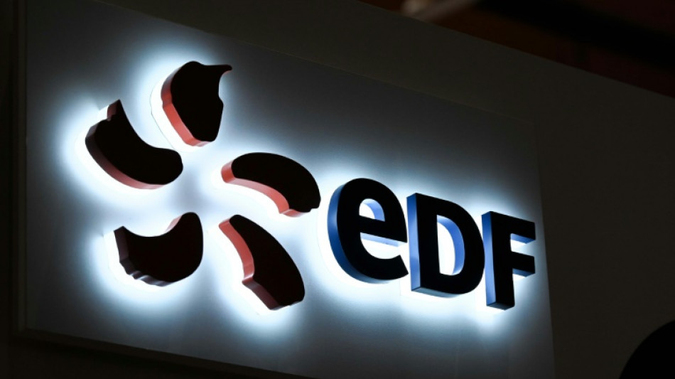 Renationalisation : le titre du groupe EDF suspendu &agrave; la Bourse de Paris &agrave; sa demande