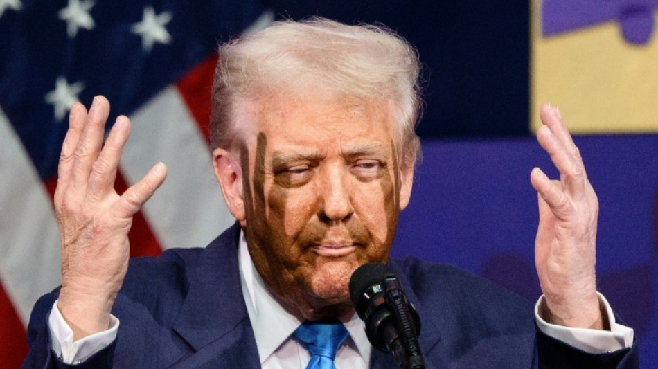 AfD-Antrag gescheitert: Kreistag Bad D&uuml;rkheim gegen Ehrenb&uuml;rgerschaft f&uuml;r Trump