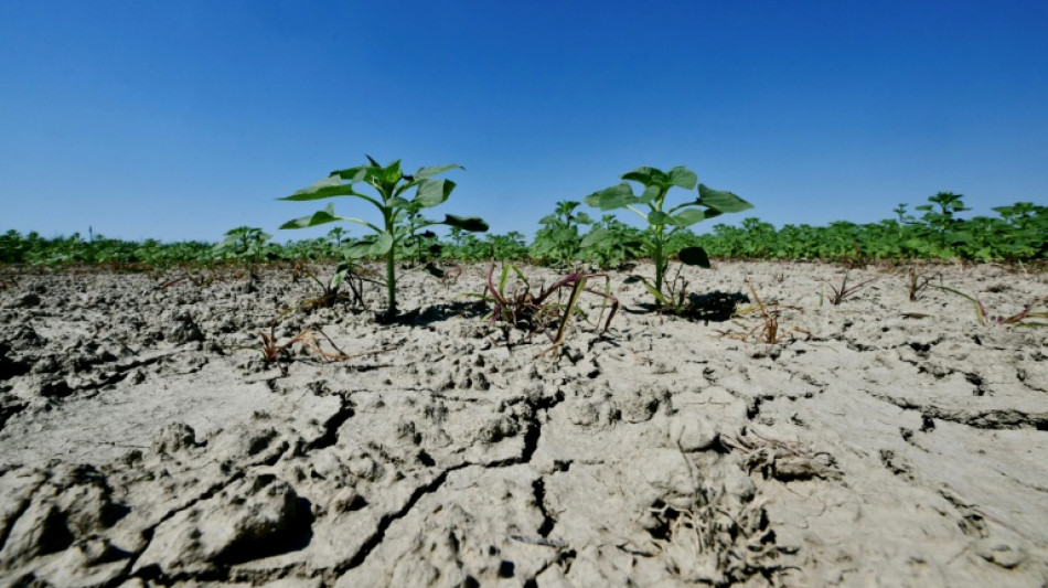  Court to rule on first climate lawsuit against Italian state 