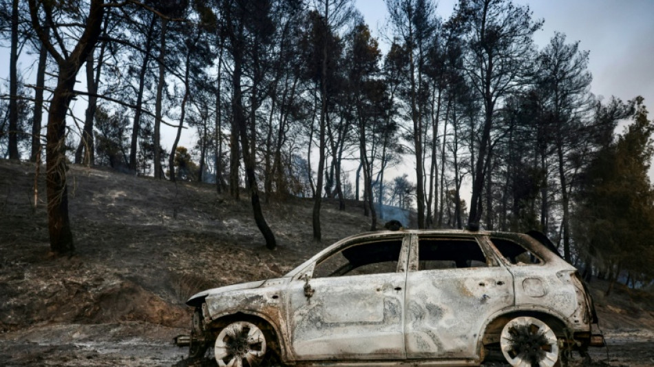  Dos incendios cerca de Atenas, bajo control tras la muerte de dos personas 