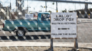 L'Arizona, gangr&eacute;n&eacute; par la suspicion pour les &eacute;lections de mi-mandat