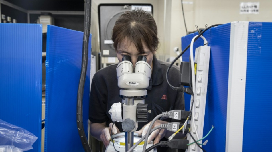 Japan's SMEs ready to adapt to Trump tariffs