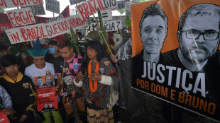 Los asesinatos de ambientalistas bajan en 2021 pero Am&eacute;rica Latina concentra la mayor&iacute;a