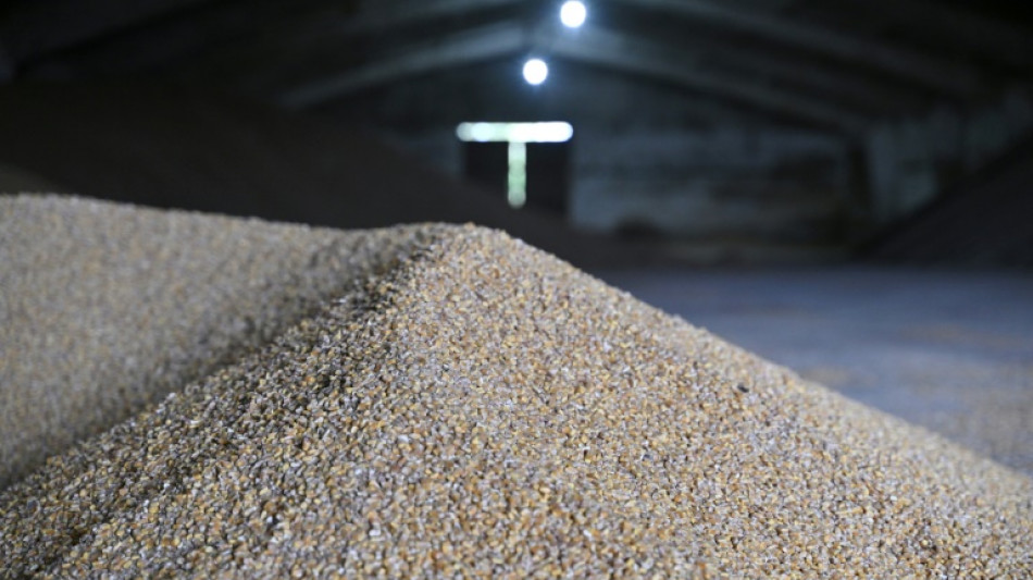 Llega a Espa&ntilde;a un buque con 18.000 toneladas de ma&iacute;z ucraniano