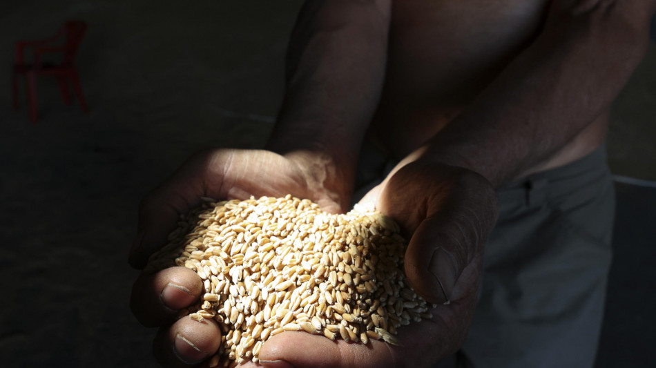  Coldiretti, crisi attuale peggio del Covid, serve Pnrr per agricoltura 