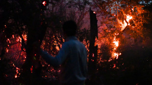 Si aggrava l'emergenza incendi in Patagonia, a fuoco 230 mila ettari