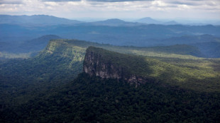 Cientistas vão simular mudanças climáticas na Amazônia para estudar seus efeitos