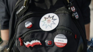 Ermittler entdecken Waffen bei mutmaßlichem Reichsbürger in Rheinland-Pfalz