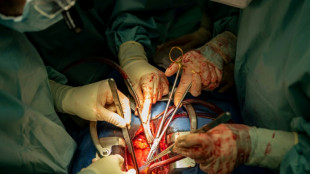 Nach Einbruch: Organspendezahlen im vergangenen Jahr wieder gestiegen