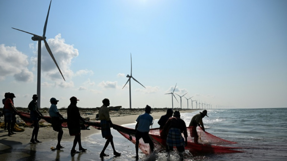  Sri Lankan turbine project fuels anger as fish hauls plunge 