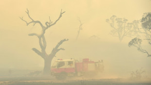 La couche d'ozone dégradée par les feux de brousse en Australie de 2019 et 2020