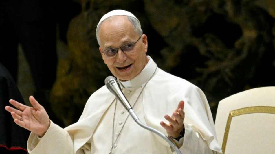  El papa no asistir&aacute; al encuentro de As&iacute;s la semana pr&oacute;xima 