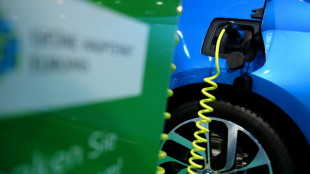 Le prix du courant va-t-il freiner les voitures électriques ?