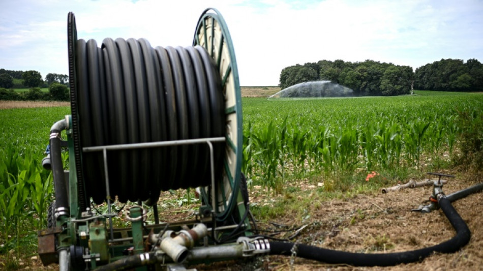 Eau et agriculture, un enjeu crucial sous tension climatique