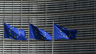 Des responsables talibans &agrave; Bruxelles pour parler immigration