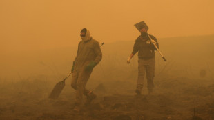 Record EU wildfires burnt more than 1 mn hectares in 2025: AFP analysis