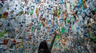 Greenpeace enttäuscht von Ergebnis der Pariser Konferenz zu Plastikmüll