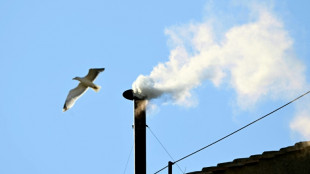 Prevost becomes first US pope as Leo XIV