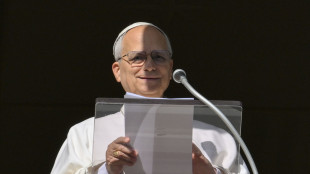 Il Papa, 'umanit&agrave; provata,ora si aprano le porte della pace'