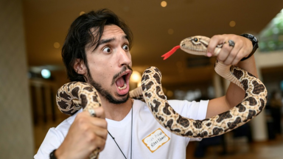  Estudo brasileiro que desafia serpentes e mict&oacute;rios antirrespingo est&atilde;o entre vencedores do Ig Nobel 